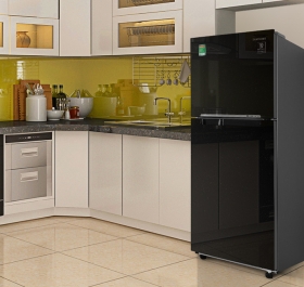Tủ lạnh Samsung Inverter 208 lít